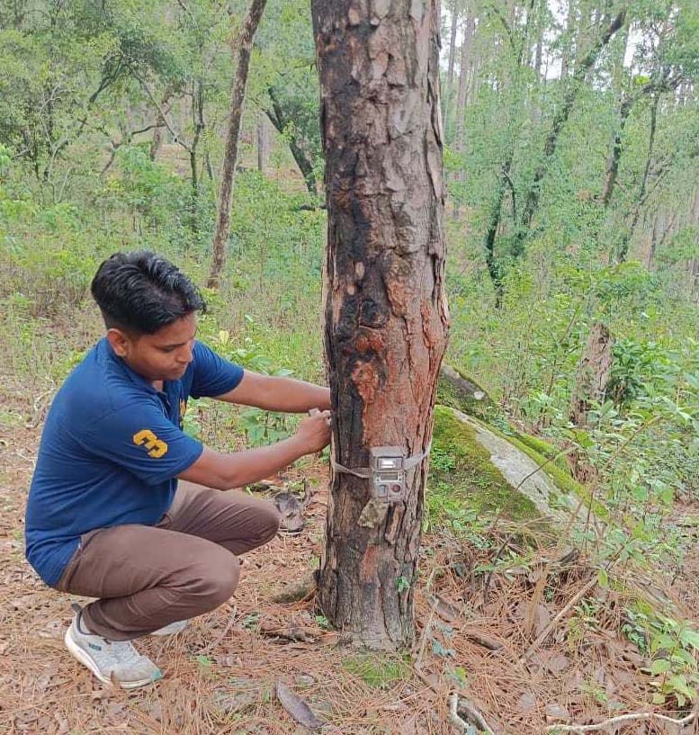 Leopard was not detected by installing 12 cameras