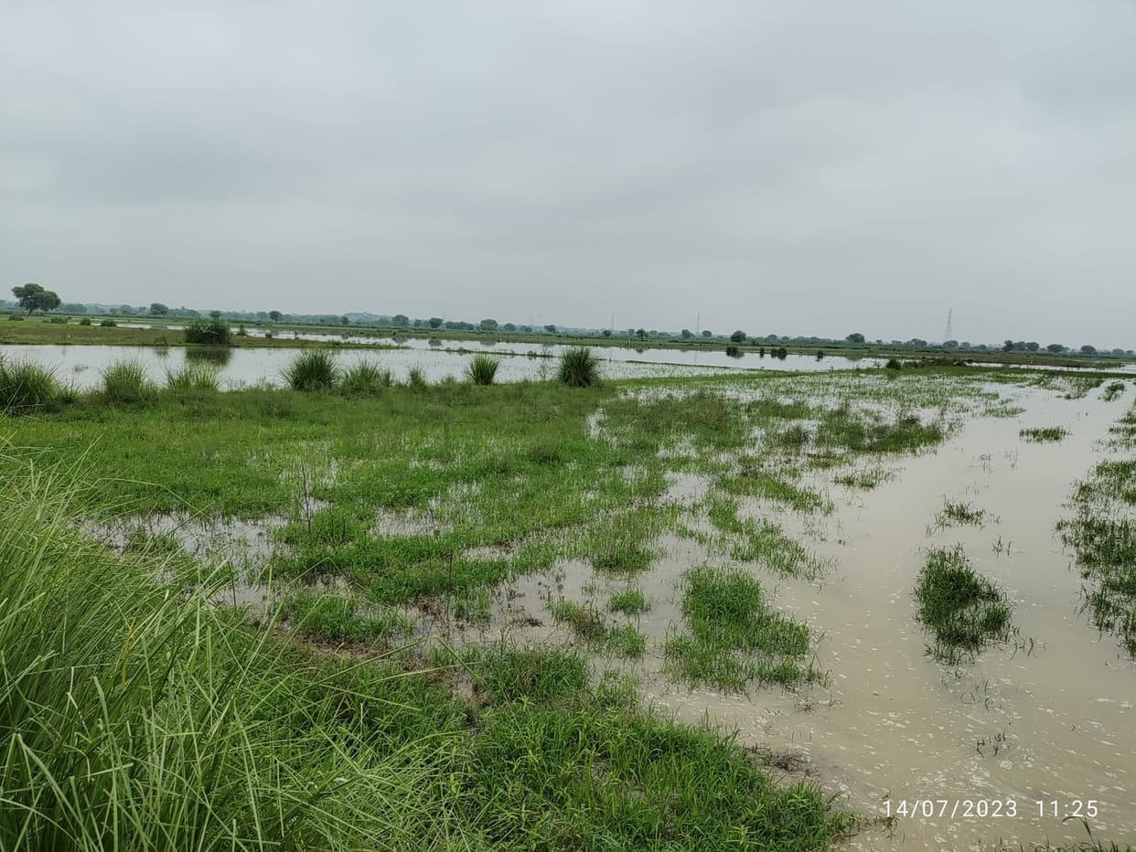 After 45 years Yamuna water entered the fields of Midhavali village