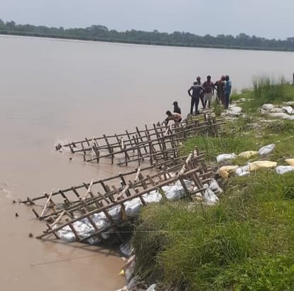 Cutting caught fast in Naujalha, bamboo crates are being installed