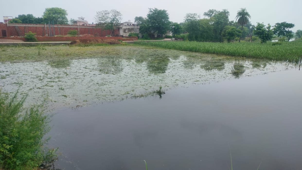 As soon as the water came, the rain snake started moving, the crops of three villages were drowned