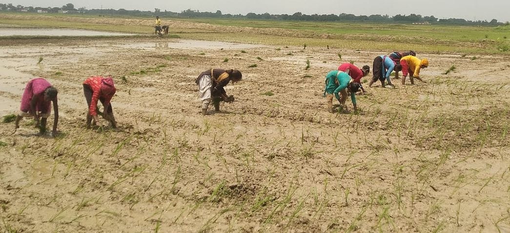 Flying clouds broke the hope of farmers, pumping set became a support
