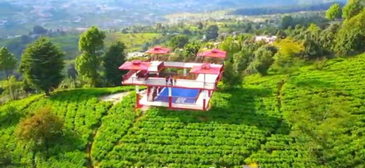 If you want to see the tea garden, you will have to loose your pocket.