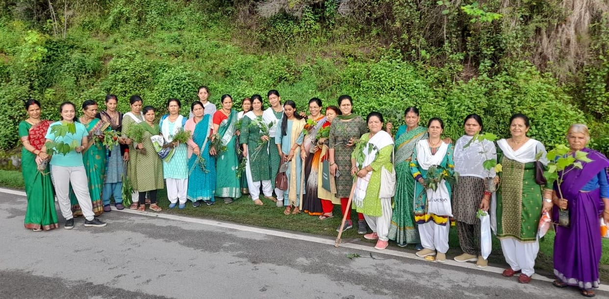 Plantation in Pithoragrh