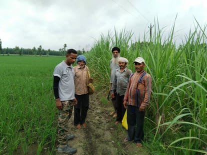 Seeing the leopard in the field, the laborers were shocked