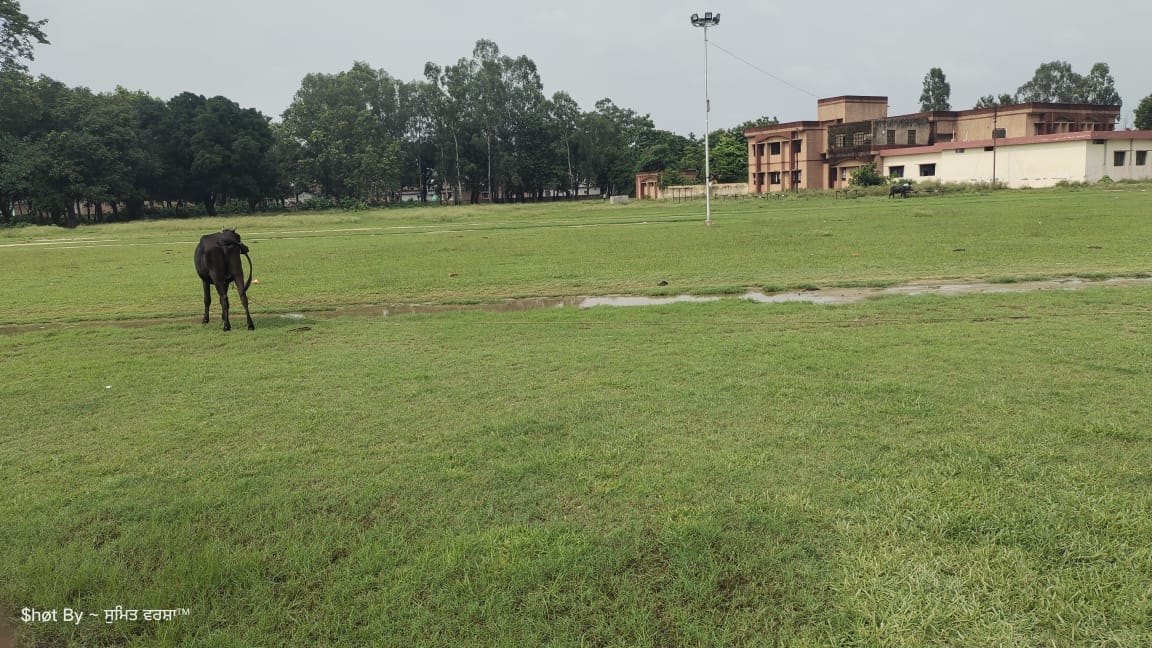 Youth running on the highway for army recruitment due to lack of stadium