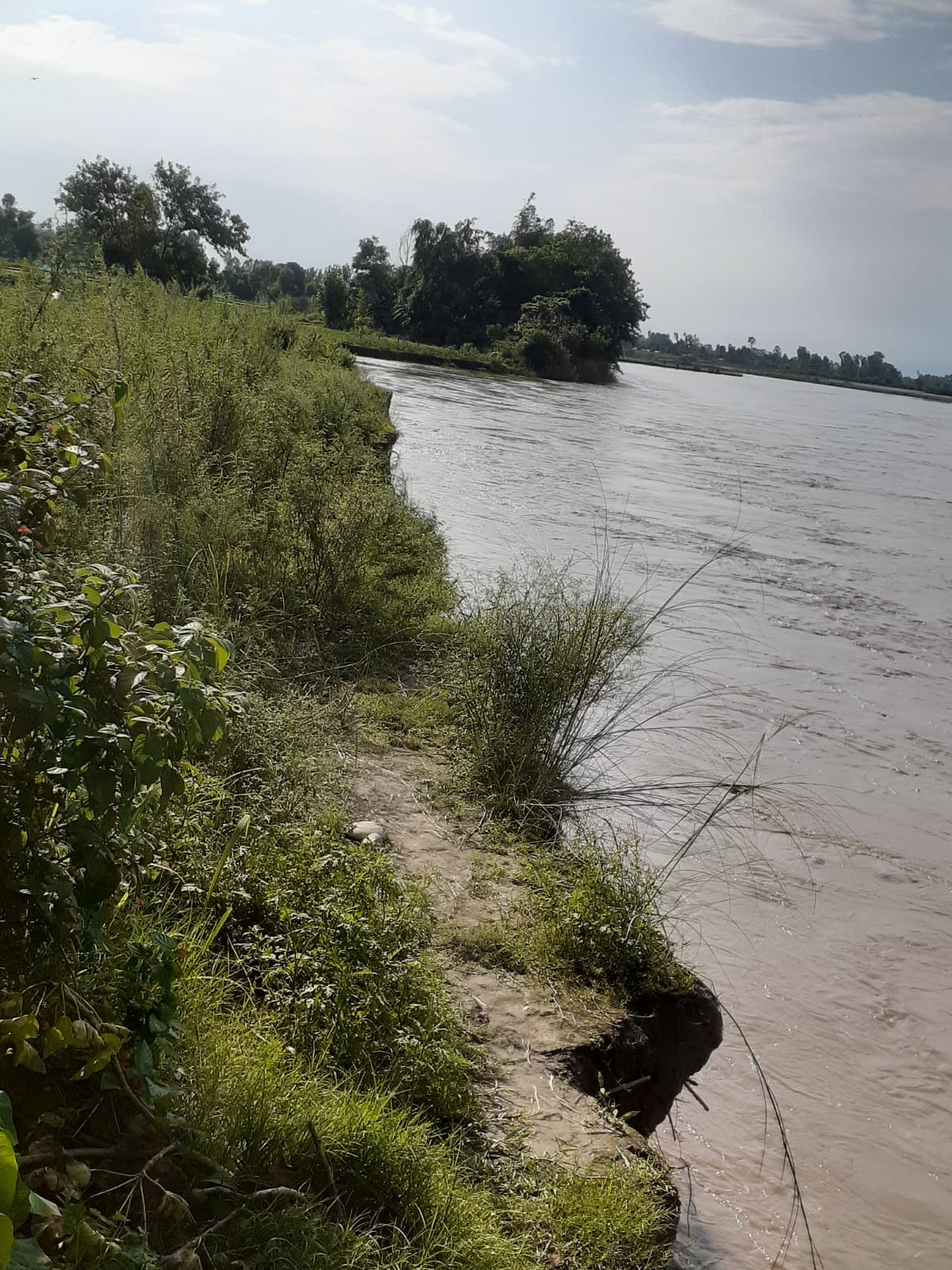 Sharda cutting fast near Noman's Land