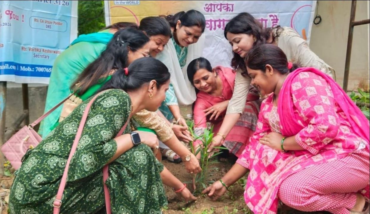 tree plantation