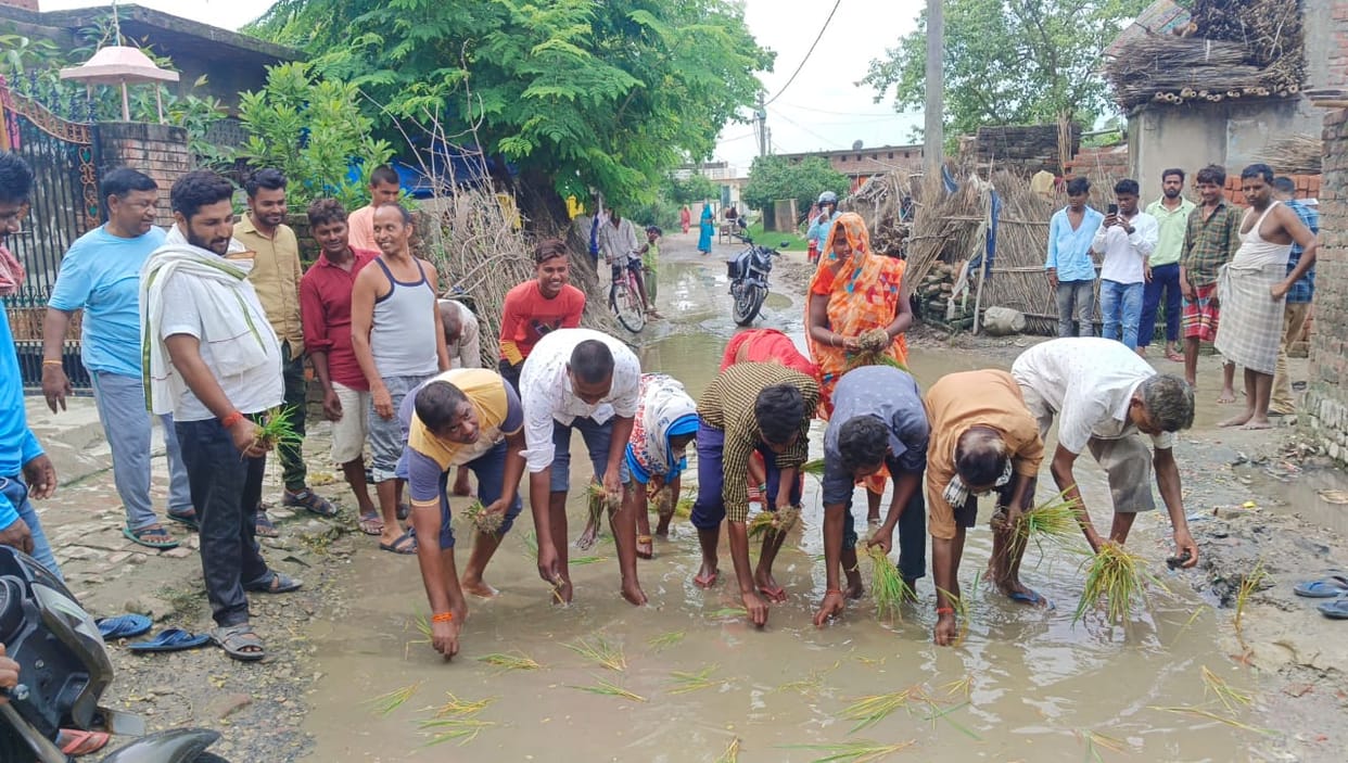 Paddy planted on the road, demand for repair