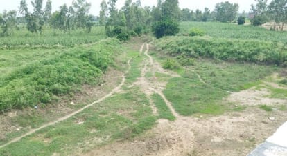 All the rivers are flooded in the rain, not even the stream in Buffalo