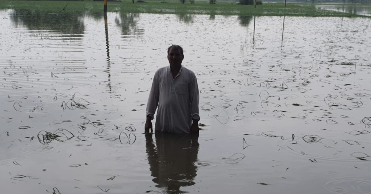 Storm rained from the sky, rain made the fields ponds