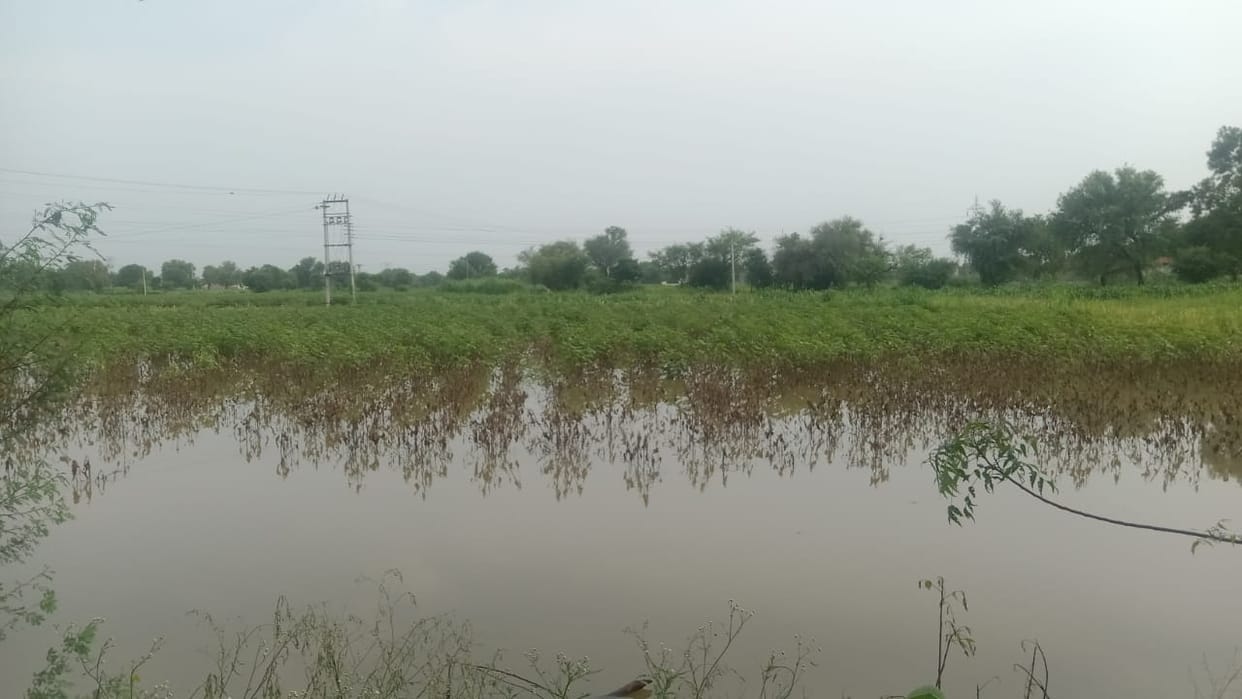 Water filled in 60 acres of fields of Malda Sarai