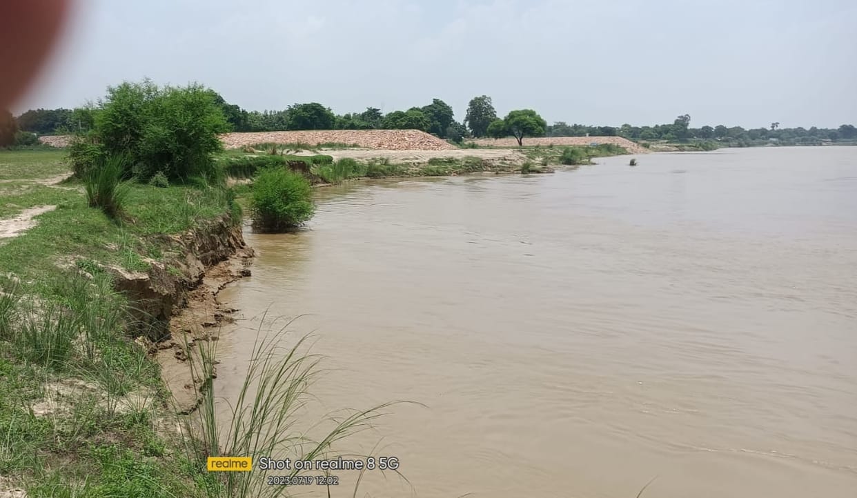 Saryu is doing harvesting near the spur tied near Devasia village