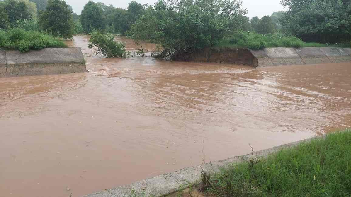 25 feet crack in Balsamand Minor, water entered in 3 dhanis including 250 acres area