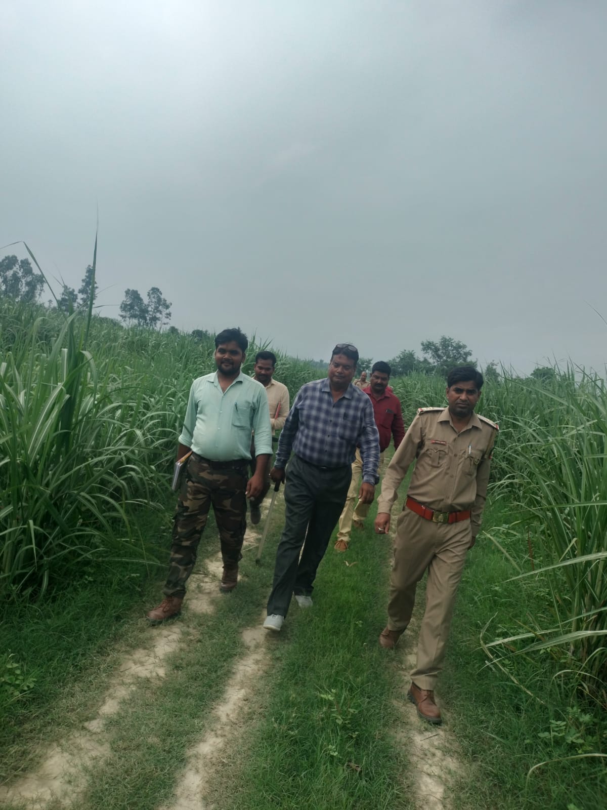 Forest workers patrolling for hours, the tiger did not come out of the field