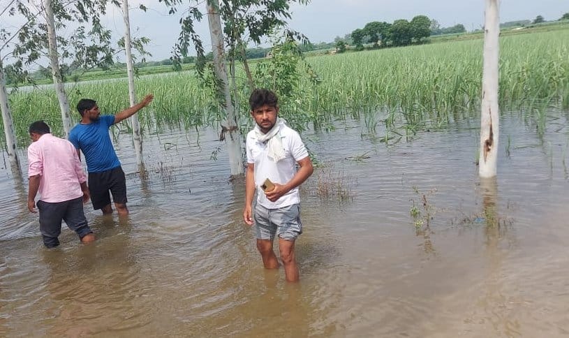 Hundreds of bighas of crops submerged in Mukari due to rise in water level of Hindon