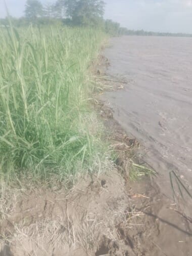 Sharda river moving towards population by fast cutting in Chandia Hazara