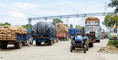 8th rake of maize leaves... there is demand in maharashtra and south
