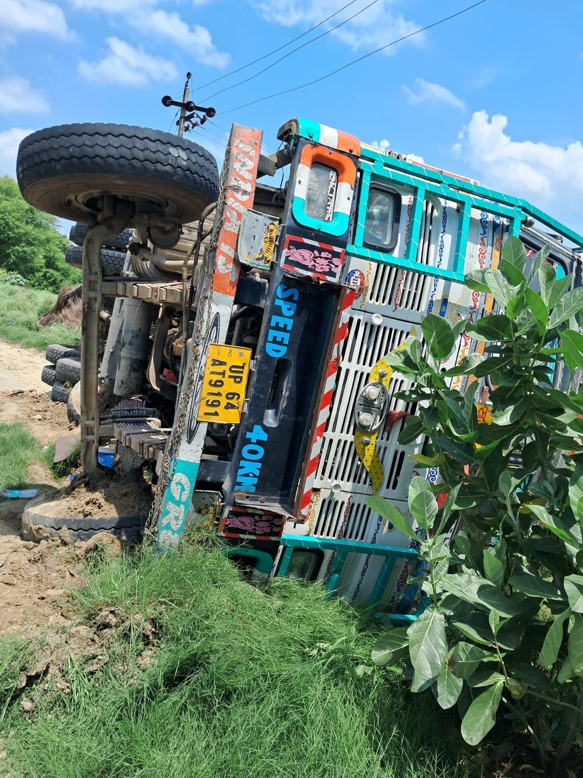 Uncontrollable truck to save cattle, overturned on the roadside