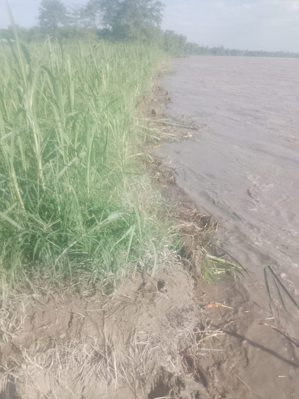 Sharda river moving towards population by fast cutting in Chandia Hazara