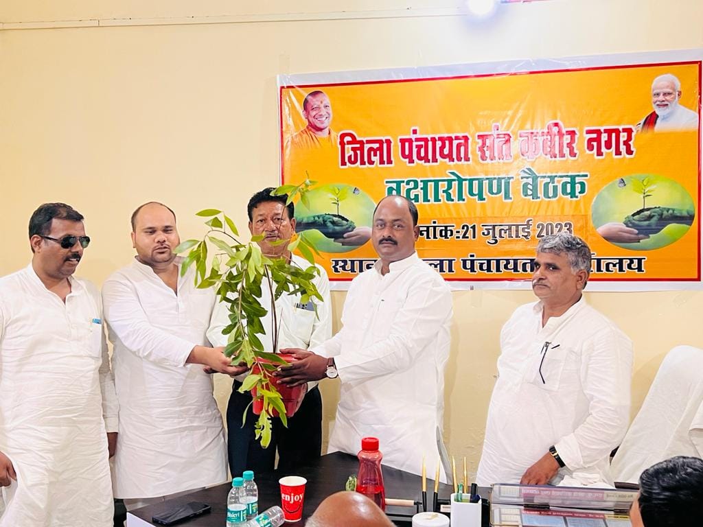 Plantation is necessary to bring greenery