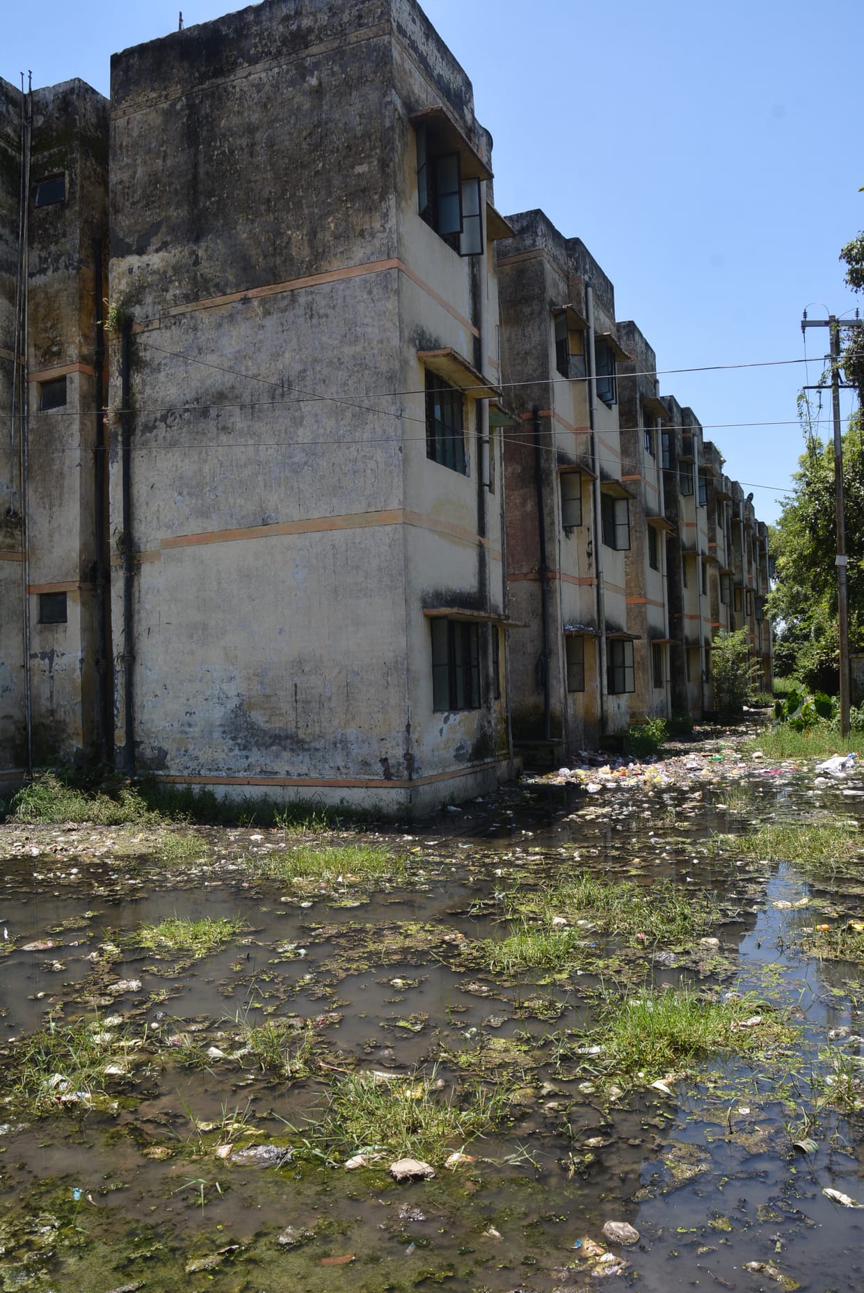 Water filled in Kanshi Ram Colony, danger of spreading diseases
