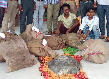 Two smugglers arrested with 207 turtles at railway station