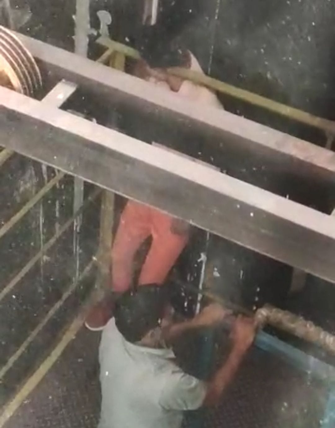 Udham Singh Nagar News: Worker neck stuck in lift while on duty in factory dies