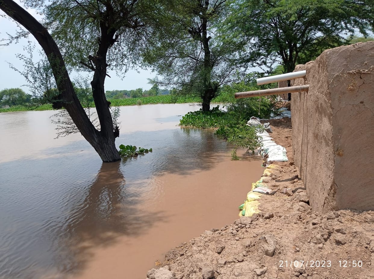 Ghaggar's embankment is being strengthened by pouring soil, farmers are cooperating with the administration