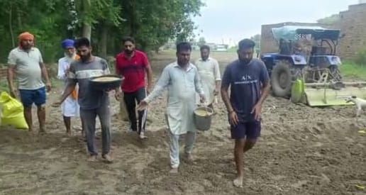 Paddy crop destroyed by water, Gurudwara and farmers are now preparing new plants for help