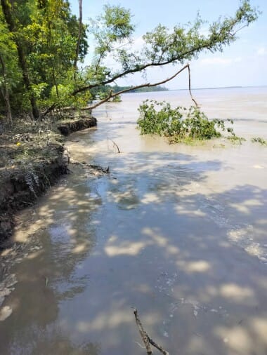As soon as the water level decreased, erosion became uncontrollable, three and a half acres of land was absorbed in the Sharda river