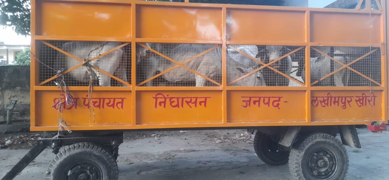Farmers got angry when animals were not allowed to enter the cow shelter