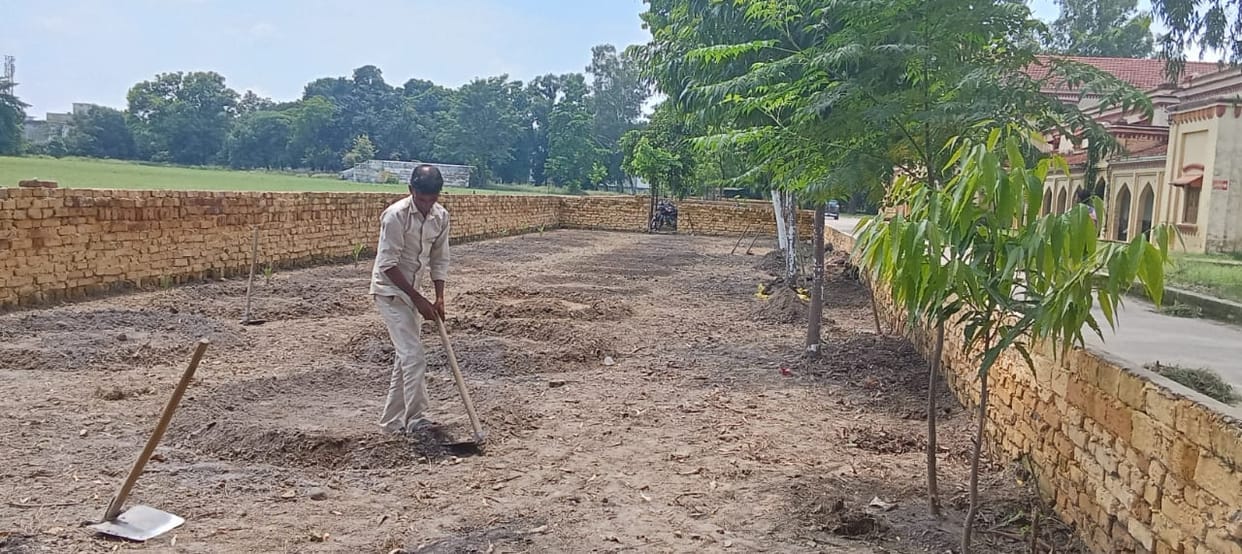 25 lakh saplings will be planted today, administration has completed preparations