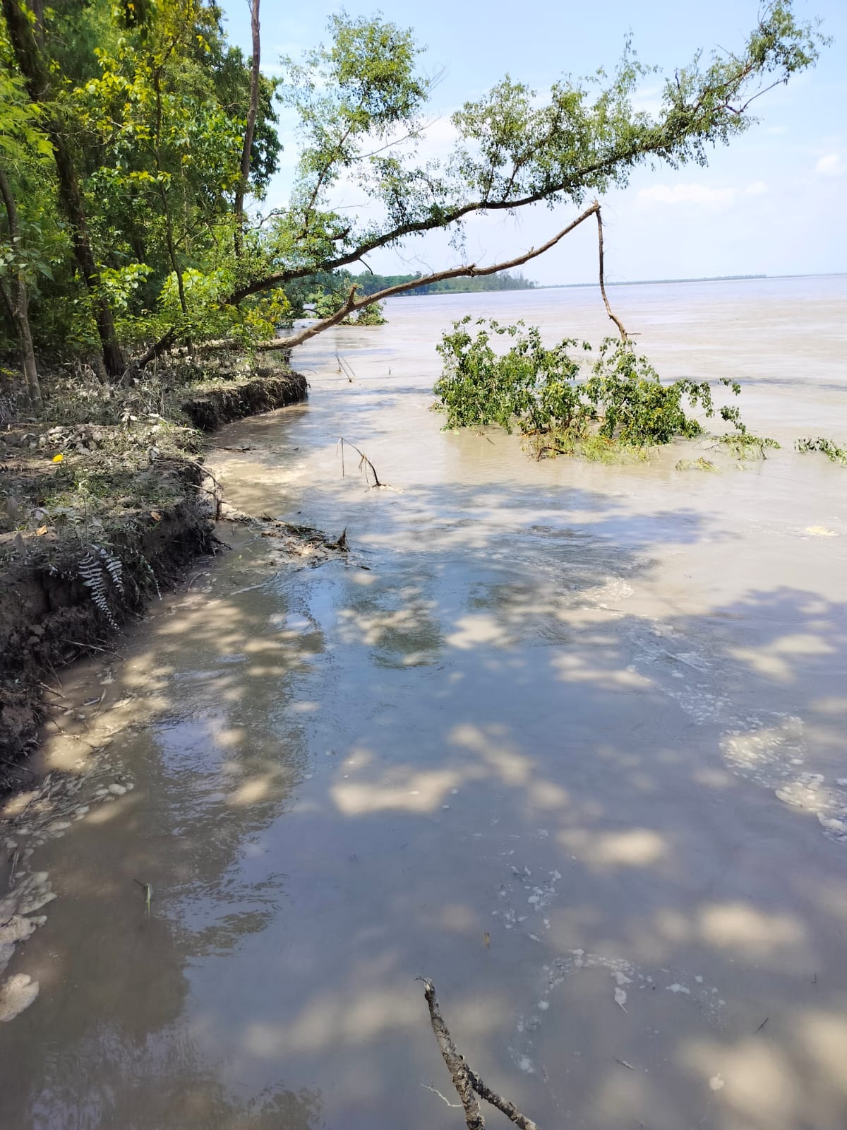 As soon as the water level decreased, erosion became uncontrollable, three and a half acres of land was absorbed in the Sharda river