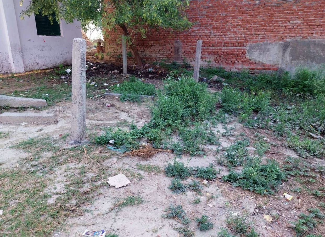 Old ones are not known, then more than 52 lakh saplings will be planted
