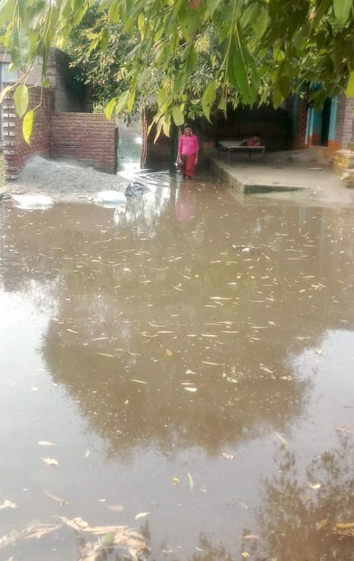 Flood havoc: six kutcha houses covered in water