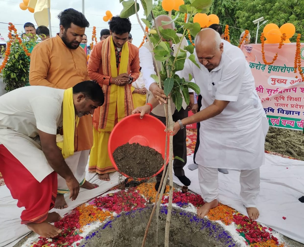 Record made by planting 38.51 lakh saplings for greenery