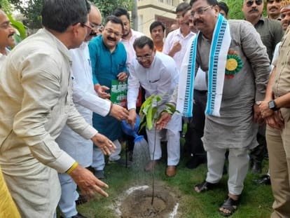 The minister in charge expressed displeasure over the power crisis