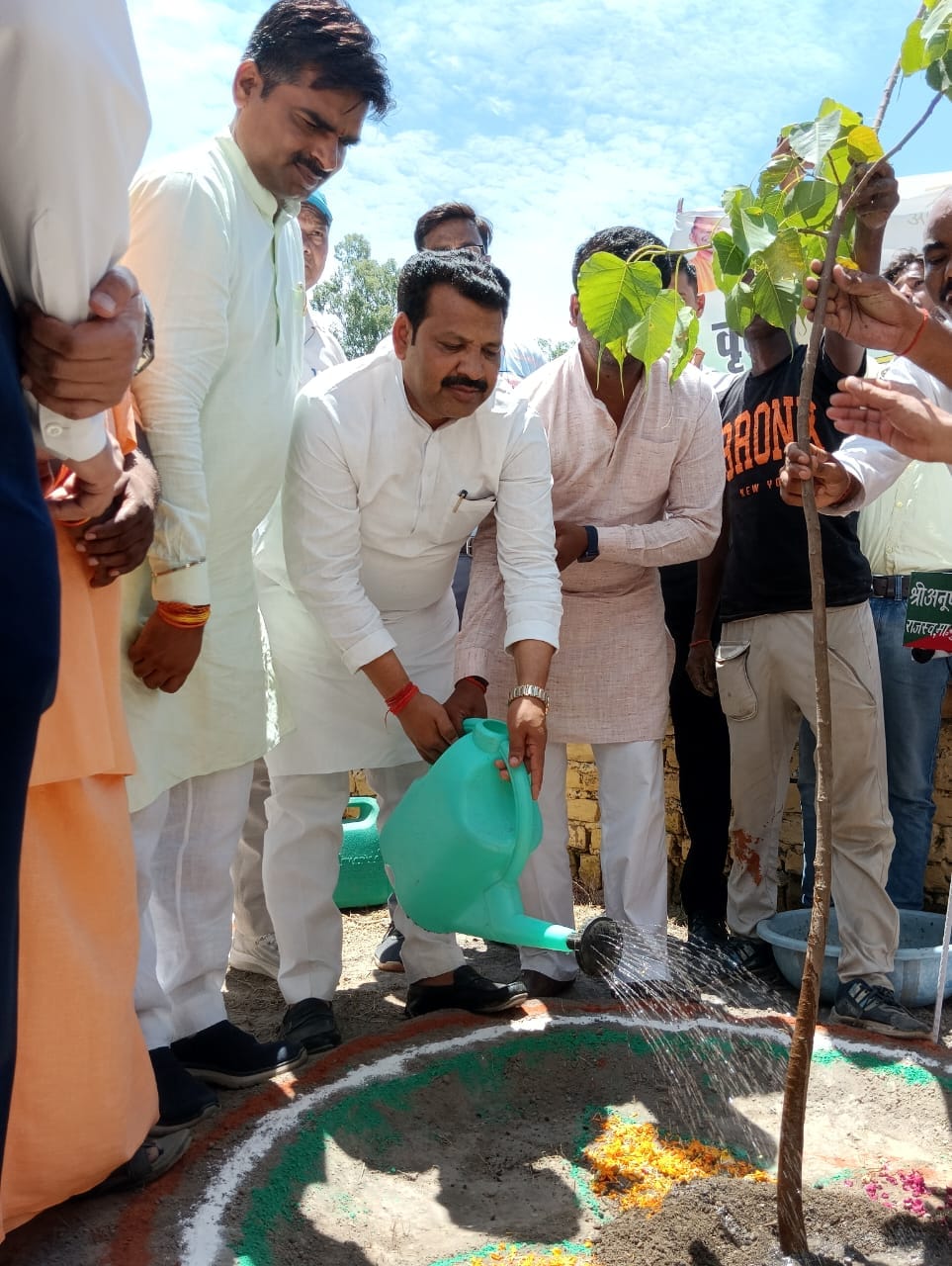 District created history by planting 31.34 lakh saplings in one day