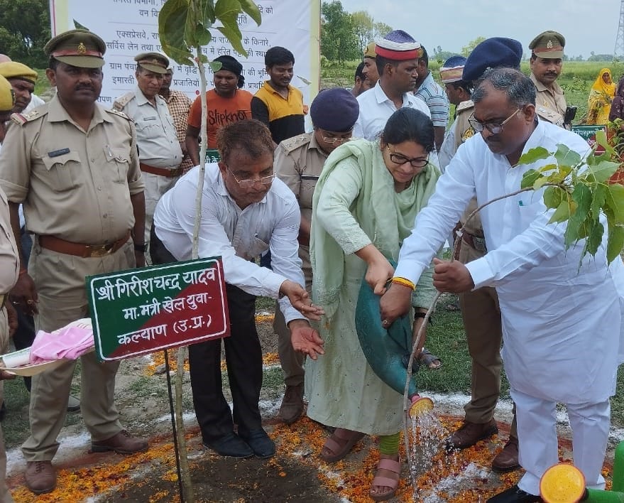tree plantation campaign