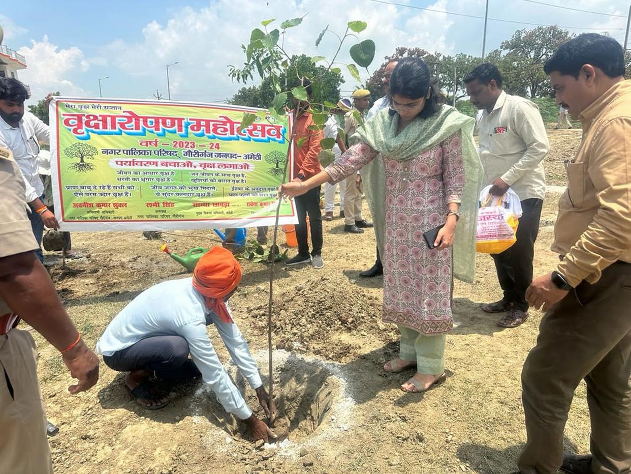 Nandan forest made in Pachehri, 4000 saplings planted