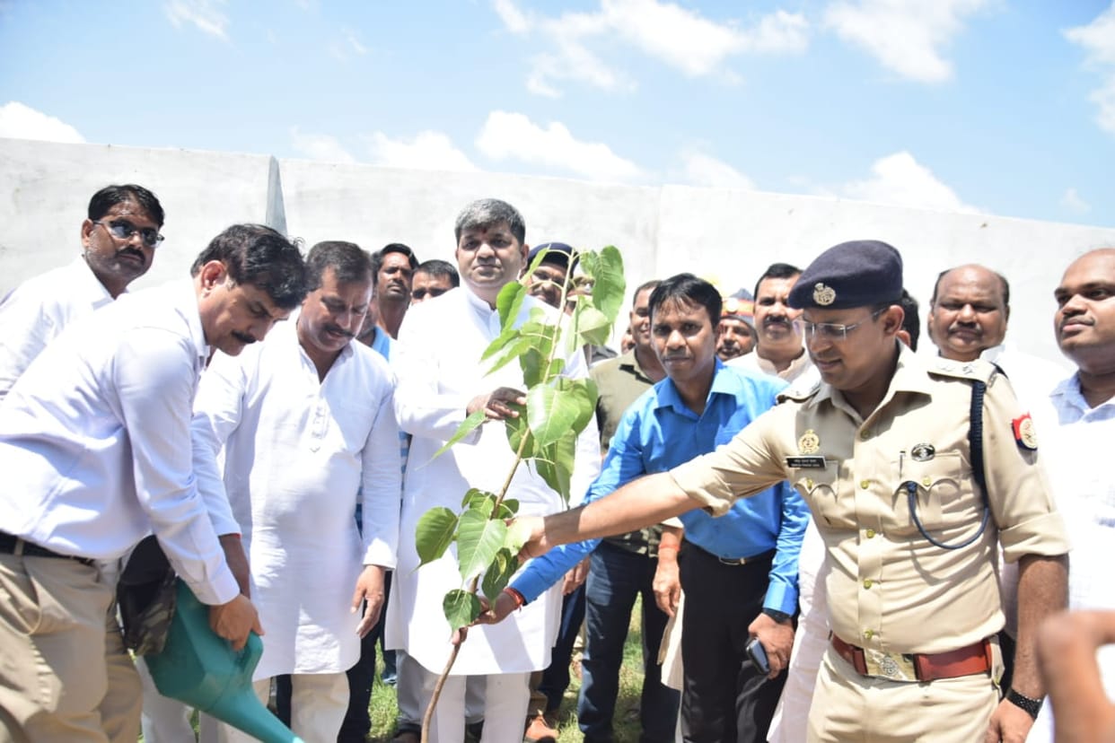 Record of planting more than 80 lakh saplings in a day