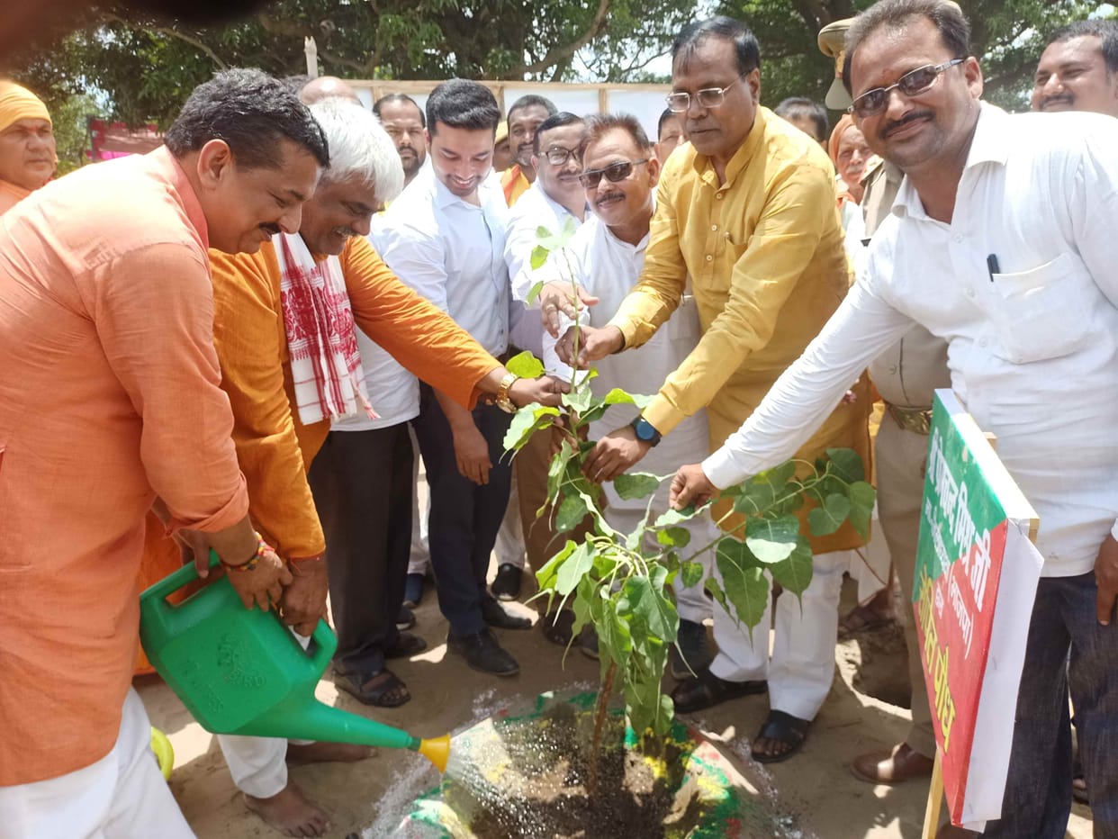 37 lakh plantation