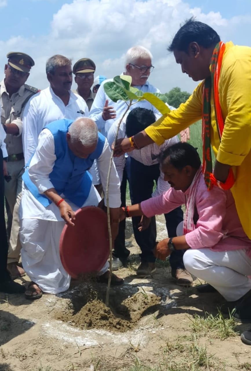 26.59 lakh saplings planted, if ready then the district will be covered with greenery