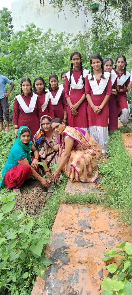 24.06 lakh saplings planted in the district