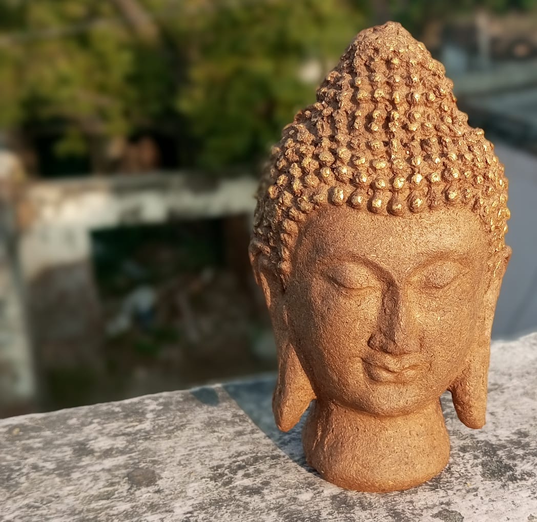 Leaving the job of project officer, Ankit is making idols from cow dung