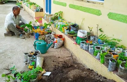 Plantation is not only nursery in the house

Plants continuously distributing to people