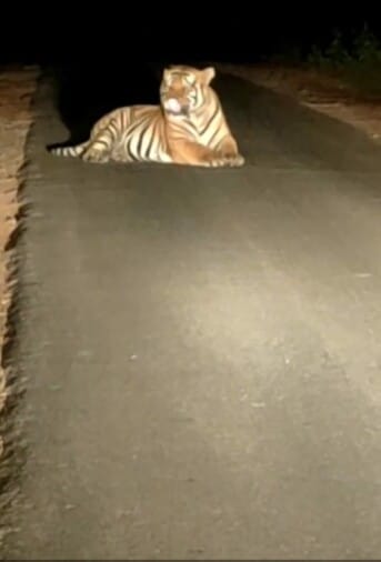 Made rules for forest routes but forgot to follow responsible