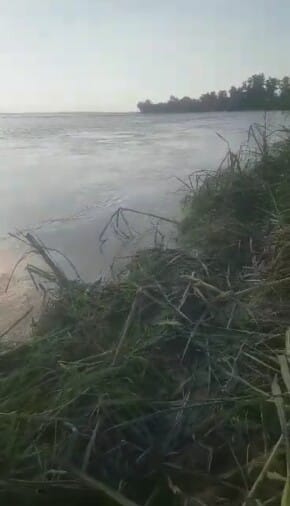 The water level of Sharda river increased again, eight bamboo crates flowed