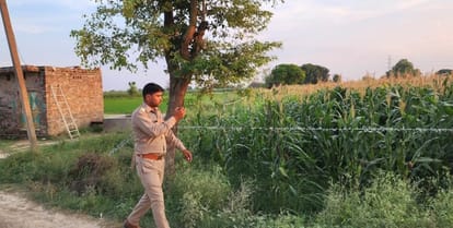 Wild boar died due to electrocution in farm fencing