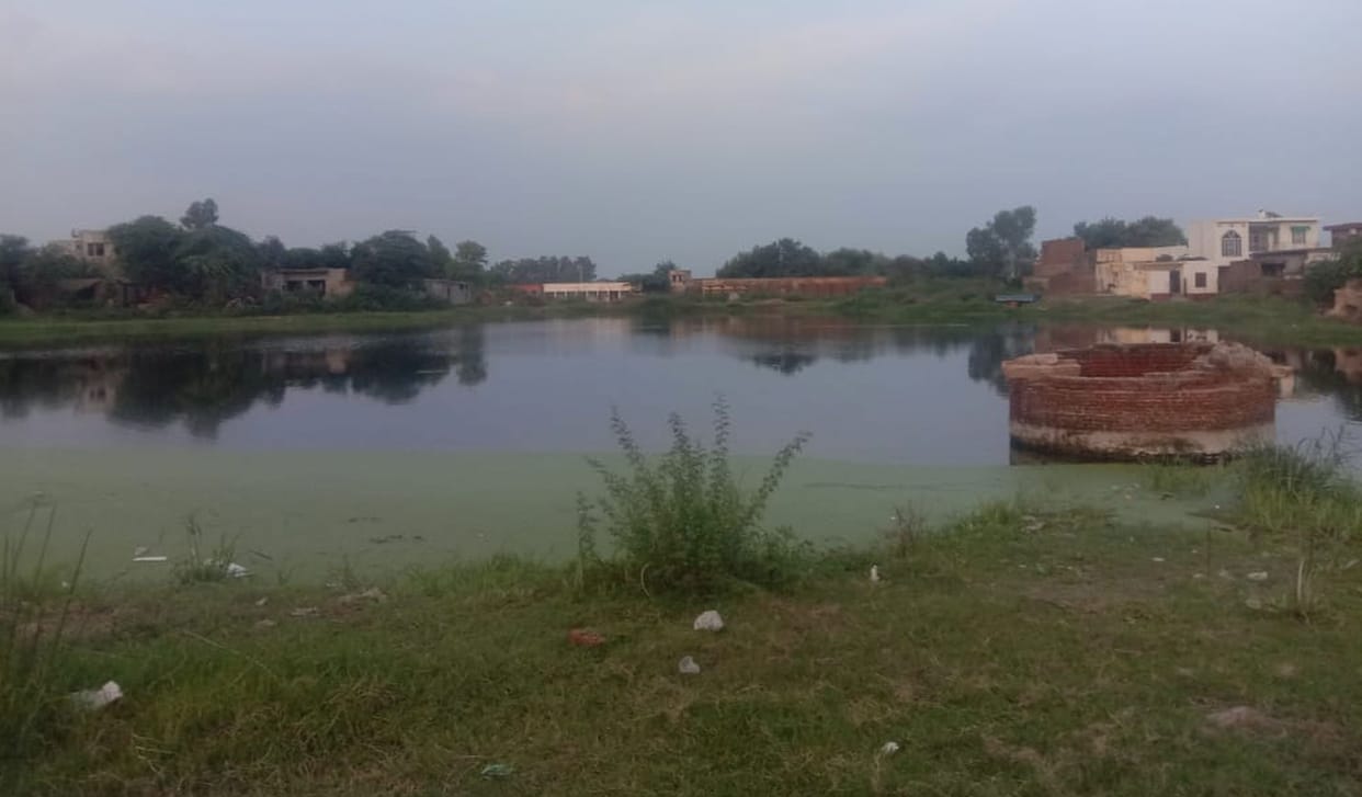 Peepal wala johad of village Bhagvi waiting for boundary wall